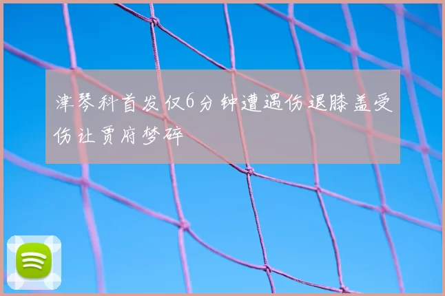 津琴科首发仅6分钟遭遇伤退膝盖受伤让贾府梦碎
