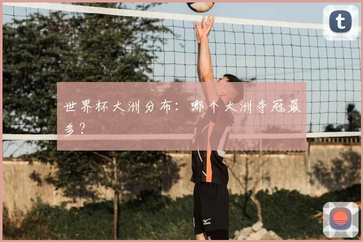 世界杯大洲分布:哪个大洲夺冠最多?
