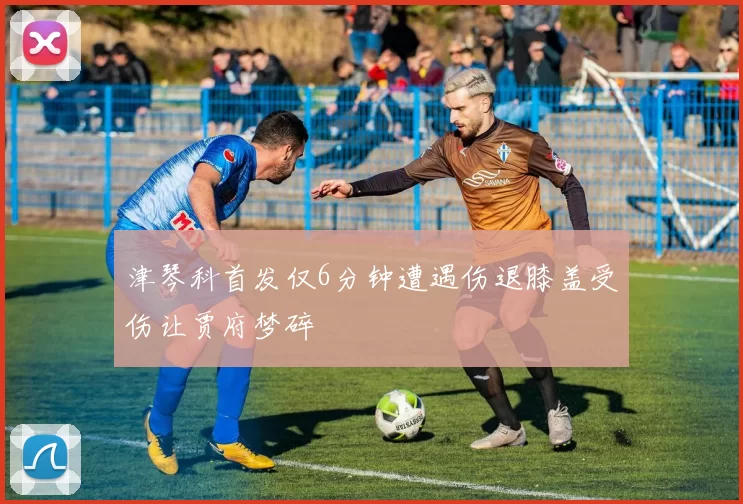 津琴科首发仅6分钟遭遇伤退膝盖受伤让贾府梦碎
