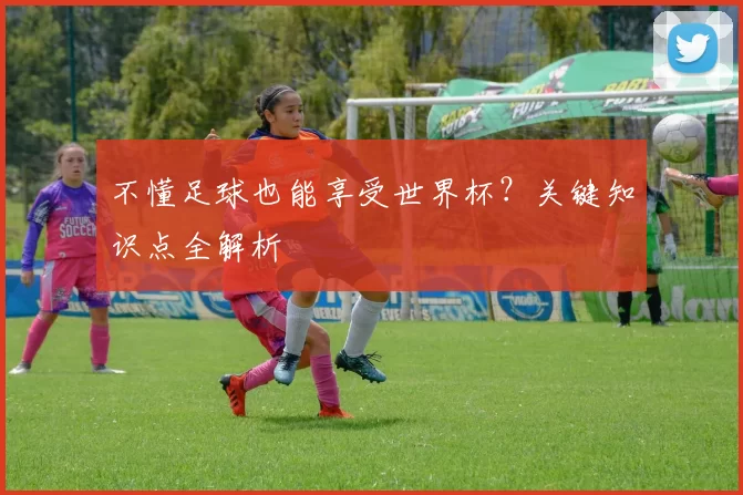不懂足球也能享受世界杯？关键知识点全解析