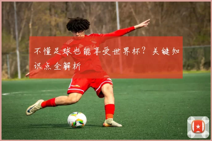不懂足球也能享受世界杯?关键知识点全解析