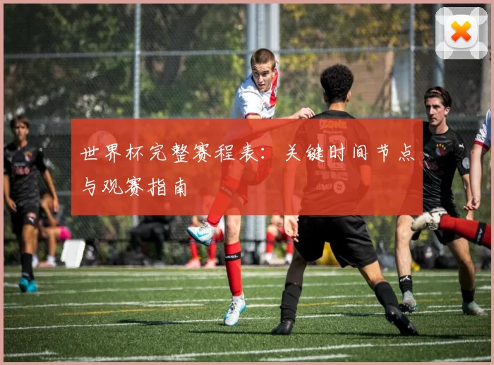 世界杯完整赛程表：关键时间节点与观赛指南