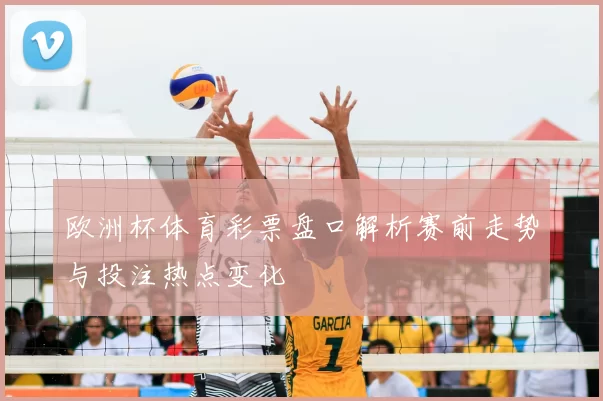 欧洲杯体育彩票盘口解析赛前走势与投注热点变化