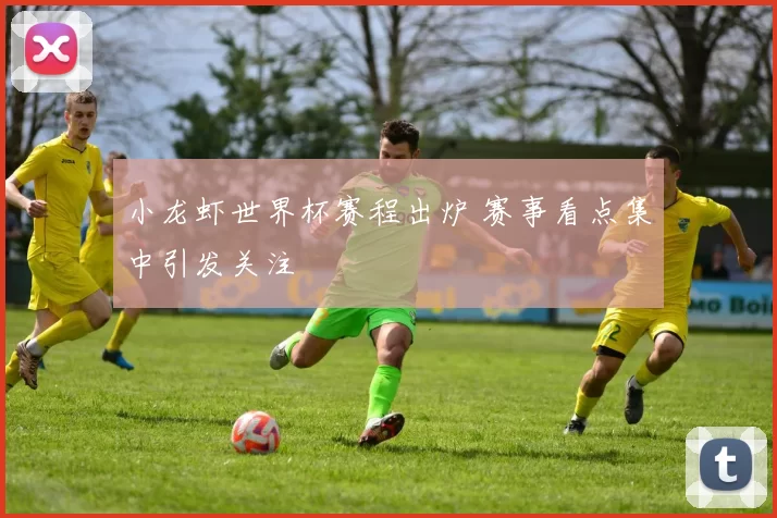 小龙虾世界杯赛程出炉 赛事看点集中引发关注