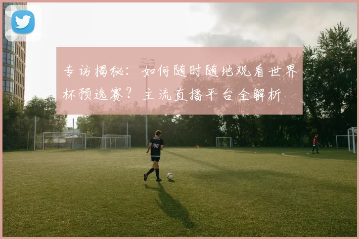 专访揭秘:如何随时随地观看世界杯预选赛?主流直播平台全解析