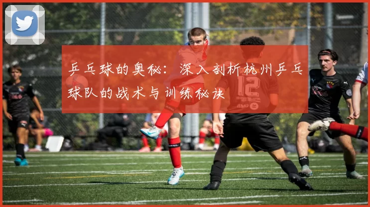 乒乓球的奥秘：深入剖析杭州乒乓球队的战术与训练秘诀