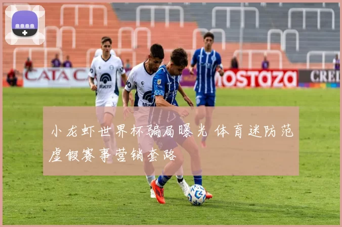 小龙虾世界杯骗局曝光 体育迷防范虚假赛事营销套路