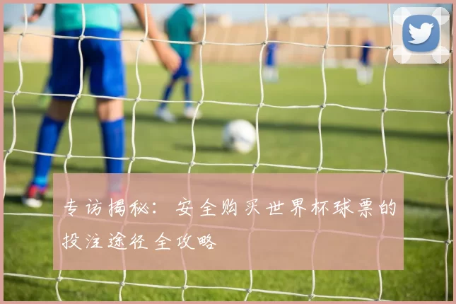 专访揭秘:安全购买世界杯球票的投注途径全攻略