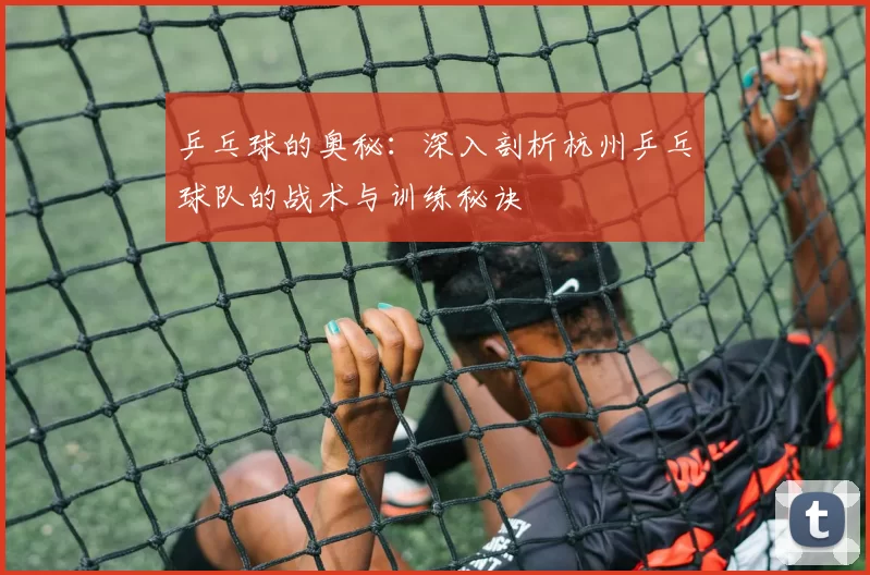 乒乓球的奥秘:深入剖析杭州乒乓球队的战术与训练秘诀