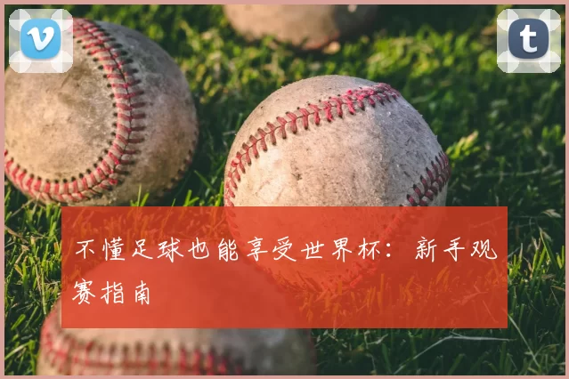 不懂足球也能享受世界杯:新手观赛指南