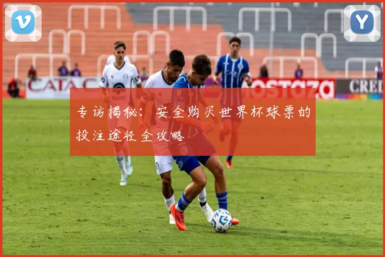 专访揭秘:安全购买世界杯球票的投注途径全攻略
