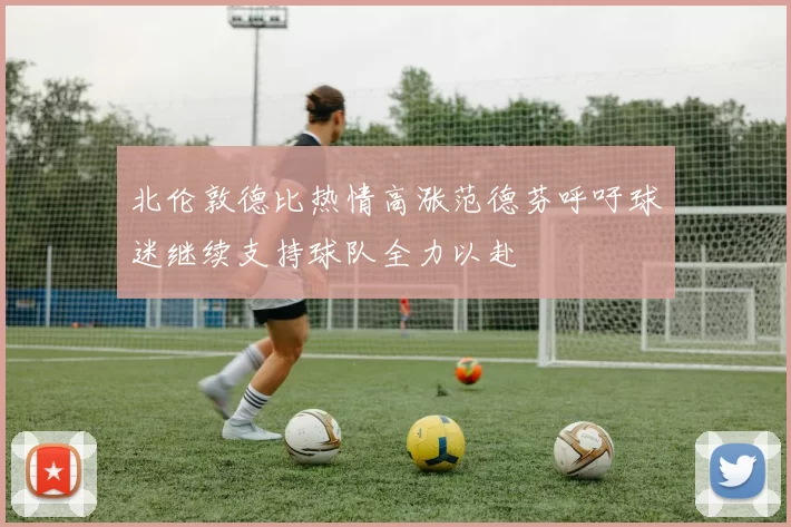 北伦敦德比热情高涨范德芬呼吁球迷继续支持球队全力以赴
