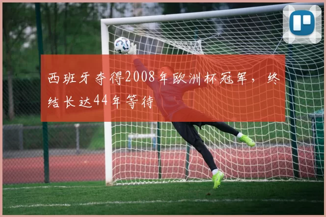 西班牙夺得2008年欧洲杯冠军，终结长达44年等待