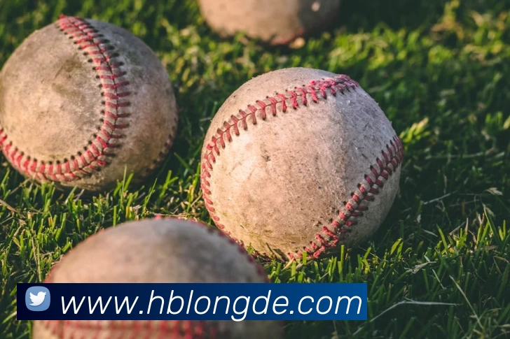 线上买球APP 封面图